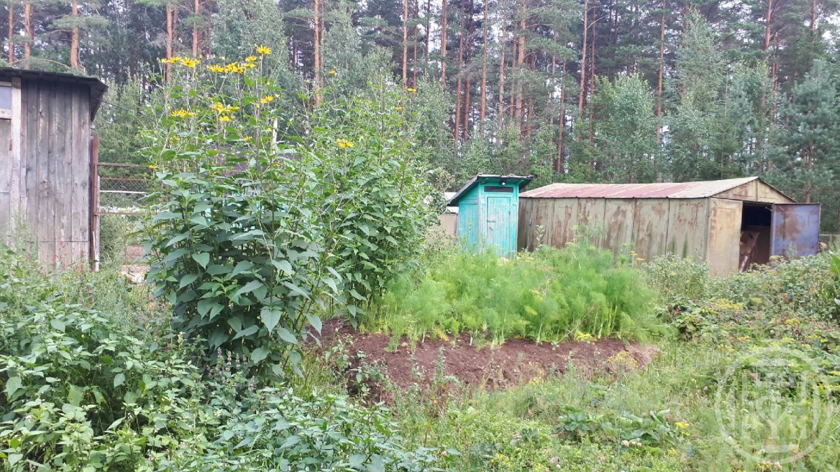 Продажа дома, 26м <sup>2</sup>, 9 сот., Змеиный, Змеиный пос. Продажа дома, 26м <sup>2</sup>, 9 сот., Змеиный, Змеиный пос.