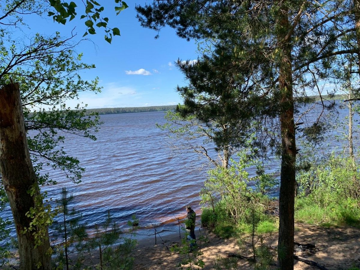 Озера в Васкелово Ленинградской области