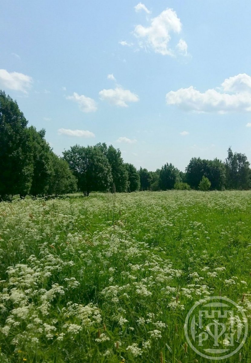 Продажа участка, Кузнецы, Кузнецы дер. Продажа участка, Кузнецы, Кузнецы дер.