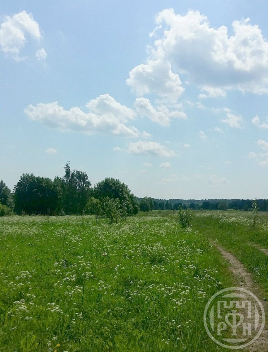 Продажа участка, Кузнецы, Кузнецы дер. Продажа участка, Кузнецы, Кузнецы дер.
