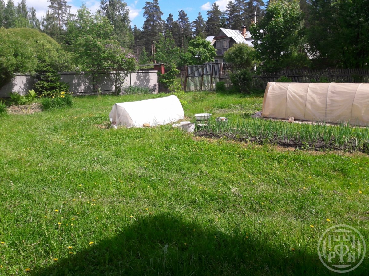 Продажа дома, 45м <sup>2</sup>, 12 сот., Вырица, Комсомольский просп. Продажа дома, 45м <sup>2</sup>, 12 сот., Вырица, Комсомольский просп.