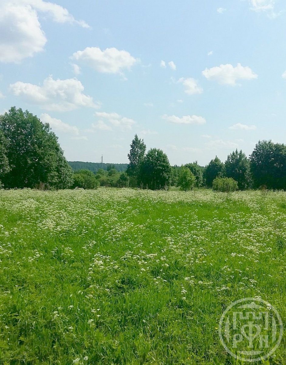 Продажа участка, Кузнецы, Кузнецы дер. Продажа участка, Кузнецы, Кузнецы дер.