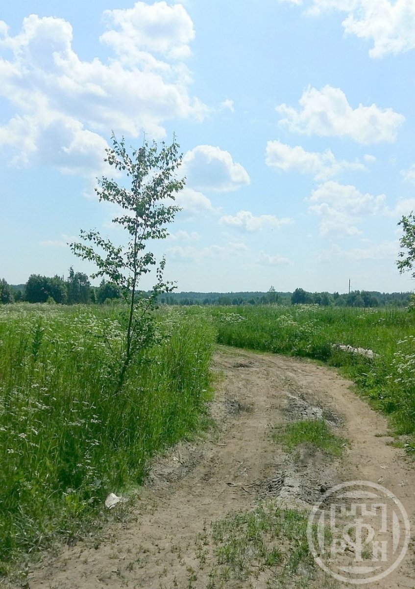 Продажа участка, Кузнецы, Кузнецы дер. Продажа участка, Кузнецы, Кузнецы дер.