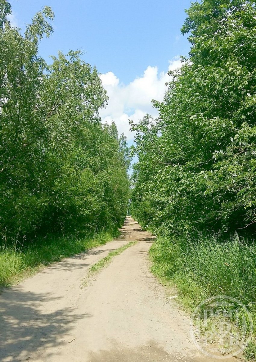Продажа участка, Кузнецы, Кузнецы дер. Продажа участка, Кузнецы, Кузнецы дер.