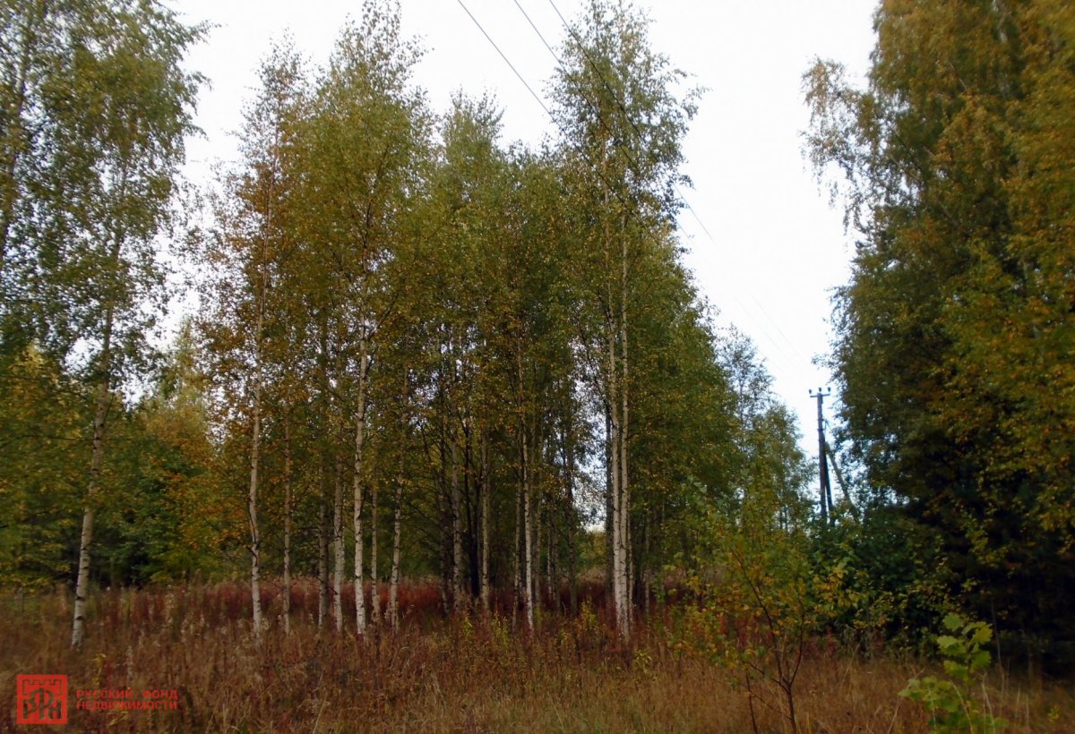 Продажа участка, Грибное, Грибное пос. Продажа участка, Грибное, Грибное пос.