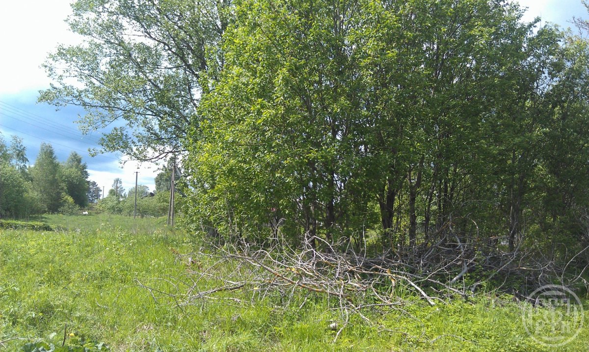Продажа участка, Муя, Новая ул. Продажа участка, Муя, Новая ул.
