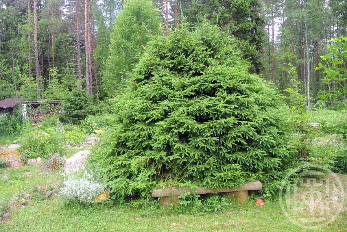 Продажа дома, 131м <sup>2</sup>, 25 сот., Глубокое, Глубокое пос. Продажа дома, 131м <sup>2</sup>, 25 сот., Глубокое, Глубокое пос.