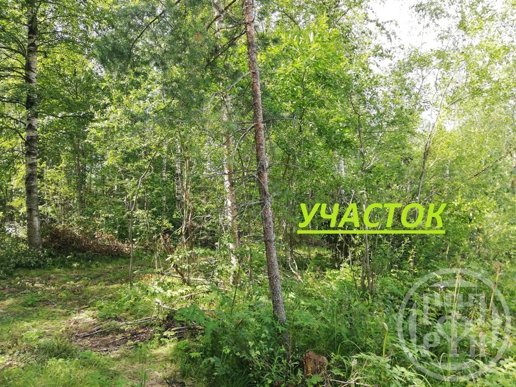 Продажа участка, Ленинградская, Сологубовка ст. Продажа участка, Ленинградская, Сологубовка ст.