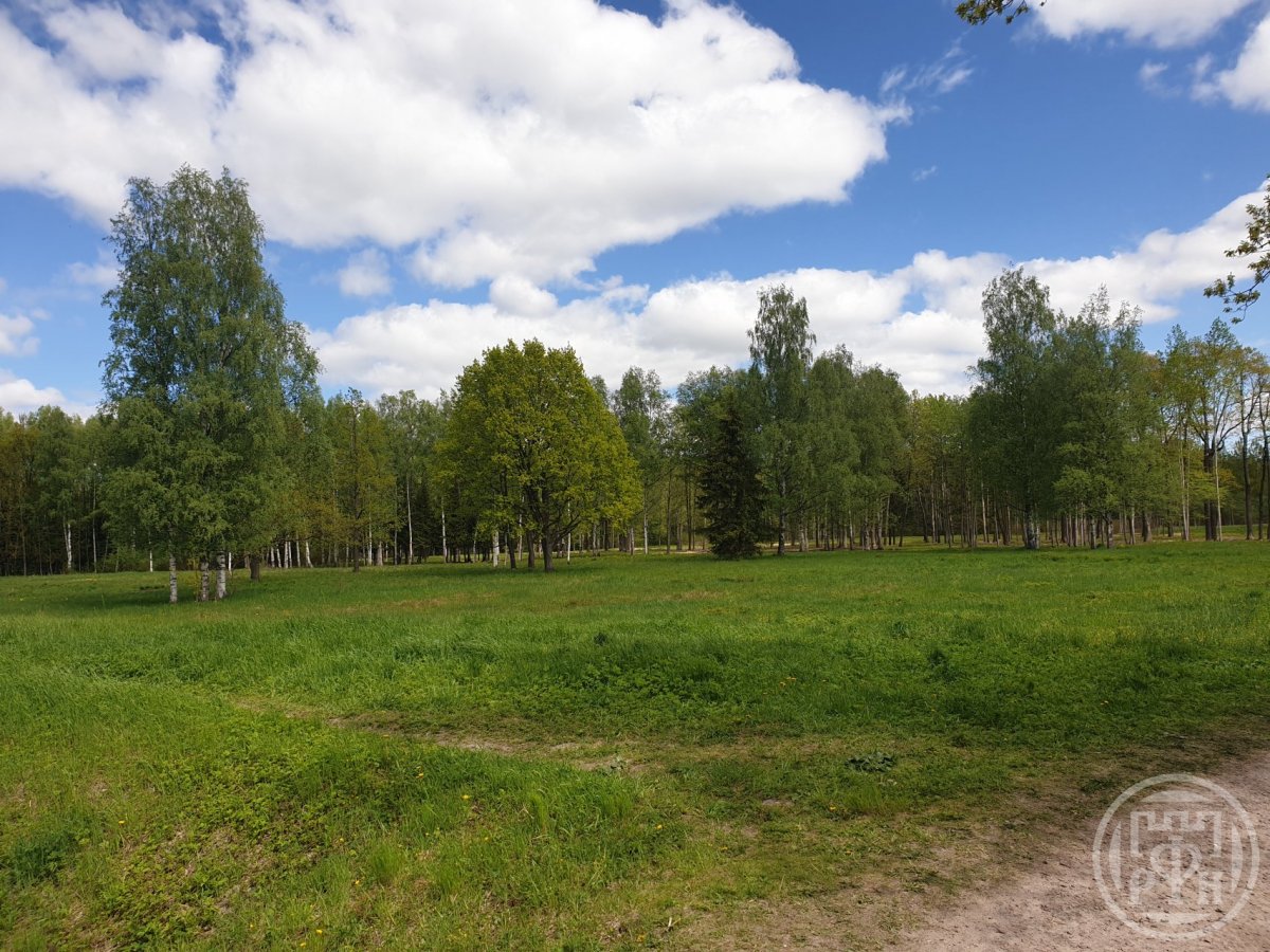 Продажа участка, Ленинградская, Коробицыно пос. Продажа участка, Ленинградская, Коробицыно пос.