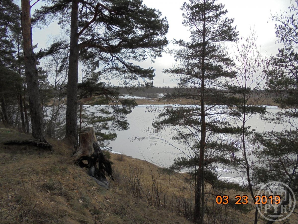 Продажа дома, 60м <sup>2</sup>, 15 сот., Новгородская, Центральная ул., д 2 Продажа дома, 60м <sup>2</sup>, 15 сот., Новгородская, Центральная ул., д 2
