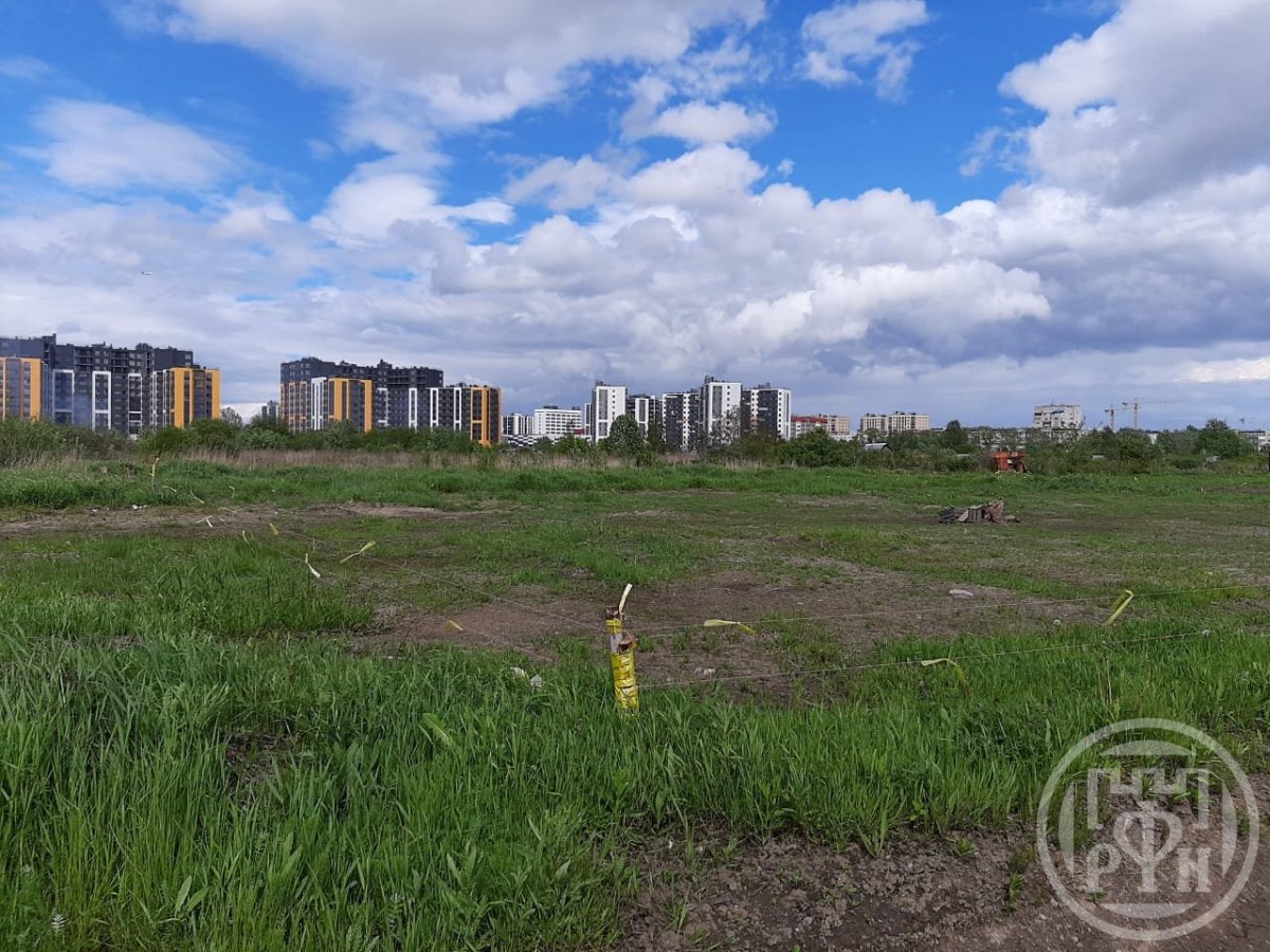 Продажа участка, Новоселье, Новоселье пос. Продажа участка, Новоселье, Новоселье пос.