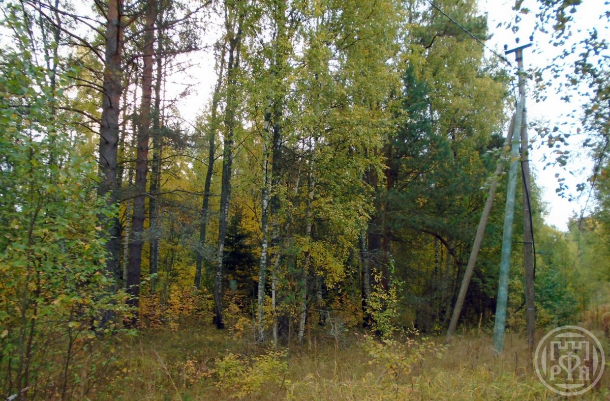 Продажа участка, Грибное, Грибное пос. Продажа участка, Грибное, Грибное пос.