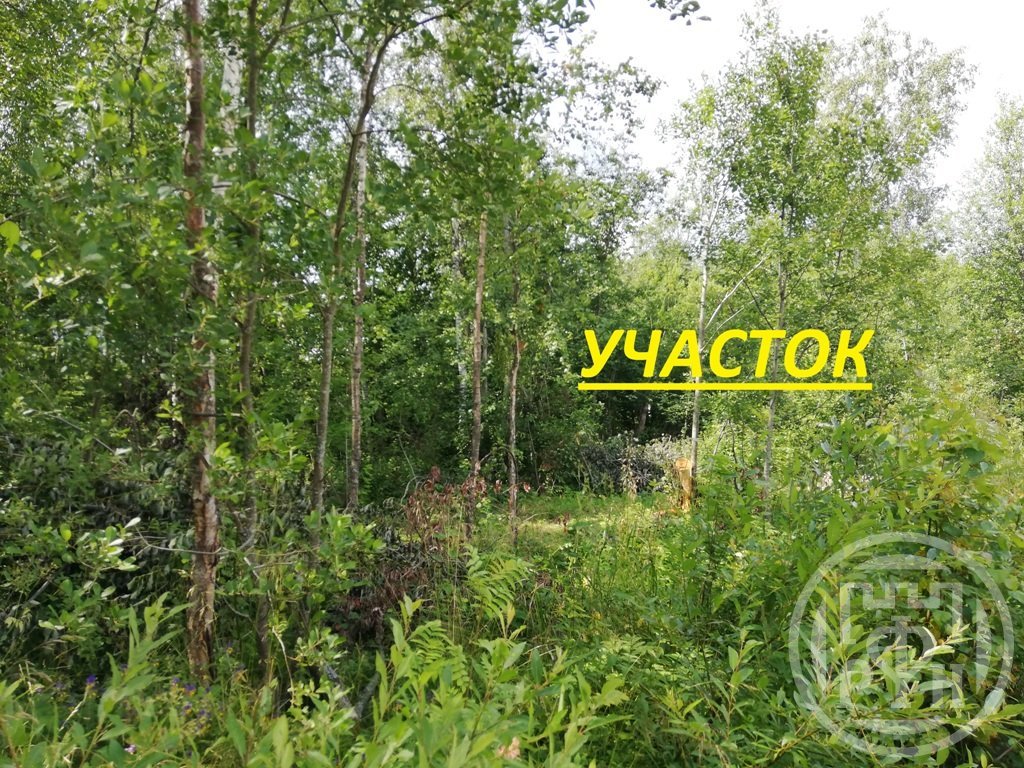 Продажа участка, Ленинградская, Сологубовка ст. Продажа участка, Ленинградская, Сологубовка ст.