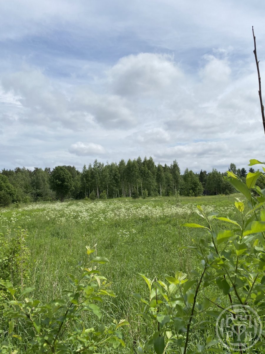 Продажа участка, Пехенец, Заречная ул. Продажа участка, Пехенец, Заречная ул.