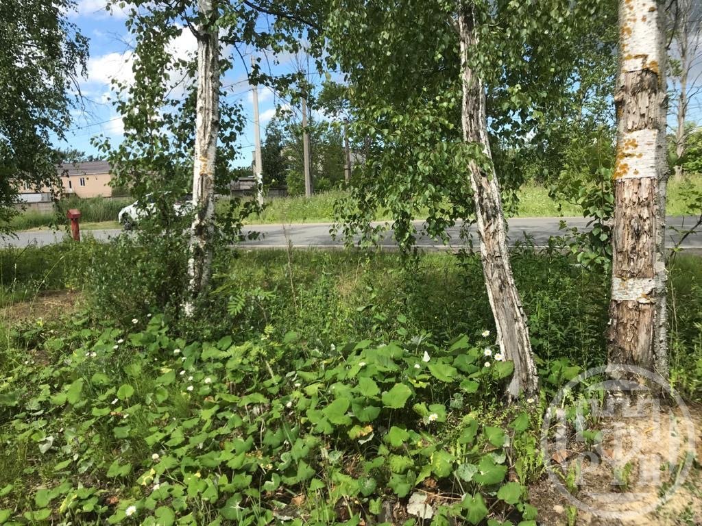 Продажа участка, Санкт-Петербург, Горелово тер. Продажа участка, Санкт-Петербург, Горелово тер.