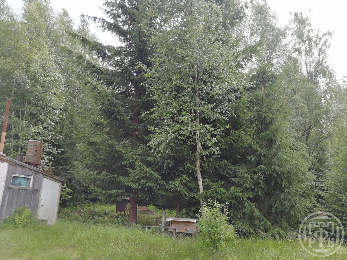 Продажа дома, 63м <sup>2</sup>, 6 сот., Ленинградская, 2-я Линия ул. Продажа дома, 63м <sup>2</sup>, 6 сот., Ленинградская, 2-я Линия ул.