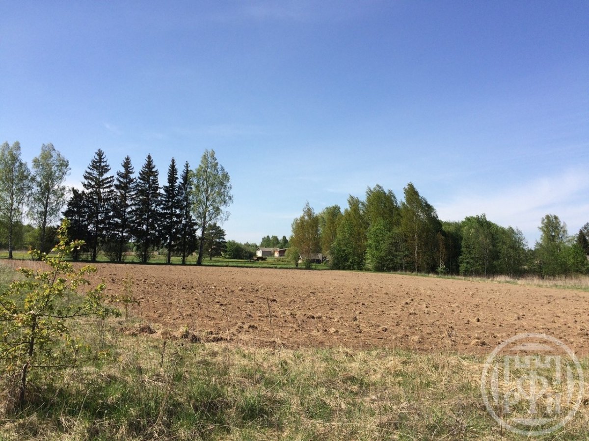 Продажа участка, Лужки, Лужки дер. Продажа участка, Лужки, Лужки дер.