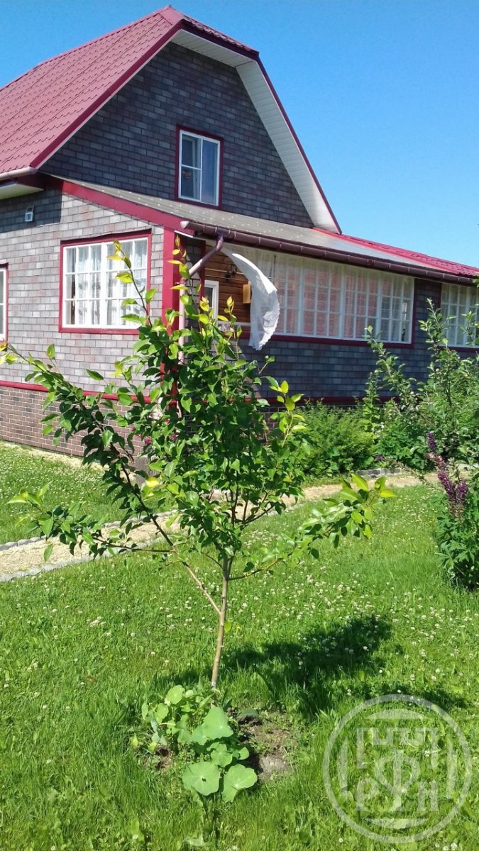 Продажа дома, 96м <sup>2</sup>, 8 сот., Ленинградская, Строитель снт. Продажа дома, 96м <sup>2</sup>, 8 сот., Ленинградская, Строитель снт.