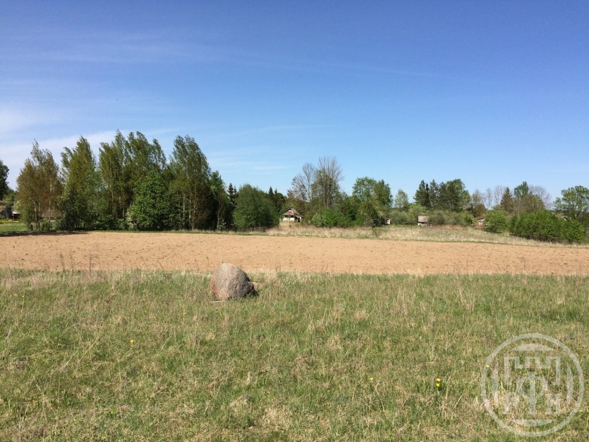 Продажа участка, Лужки, Лужки дер. Продажа участка, Лужки, Лужки дер.