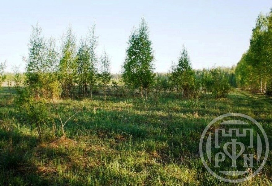Продажа участка, Рахья, Рахья пос. Продажа участка, Рахья, Рахья пос.