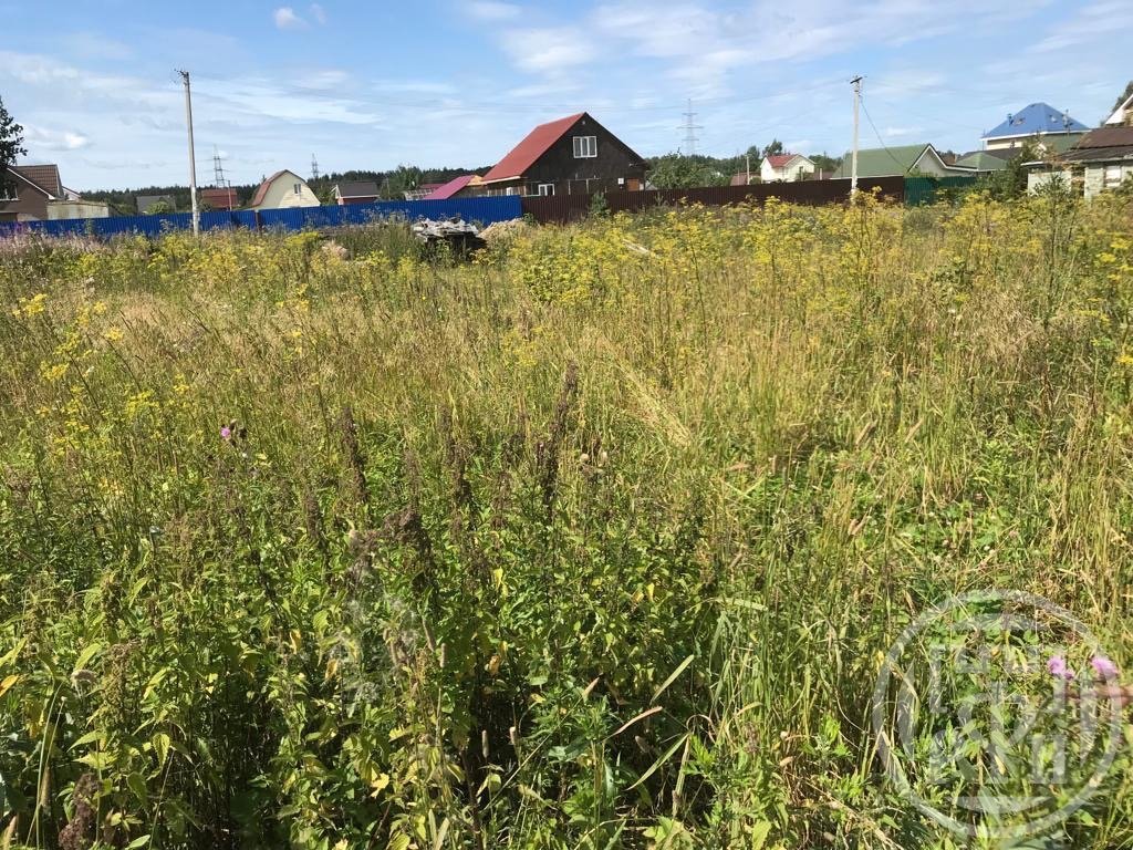 Продажа участка, Разбегаево, Разбегаево дер. Продажа участка, Разбегаево, Разбегаево дер.