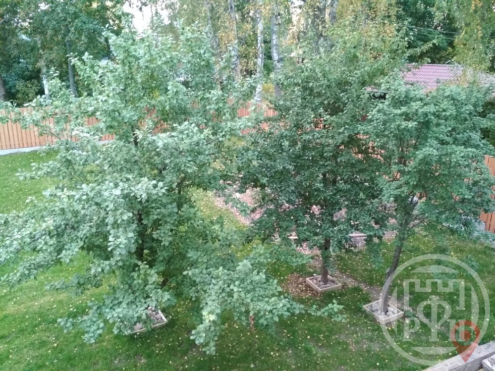 Продажа дома, 274м <sup>2</sup>, 12 сот., Зеленогорск, Красных Командиров просп., д 13 Продажа дома, 274м <sup>2</sup>, 12 сот., Зеленогорск, Красных Командиров просп., д 13