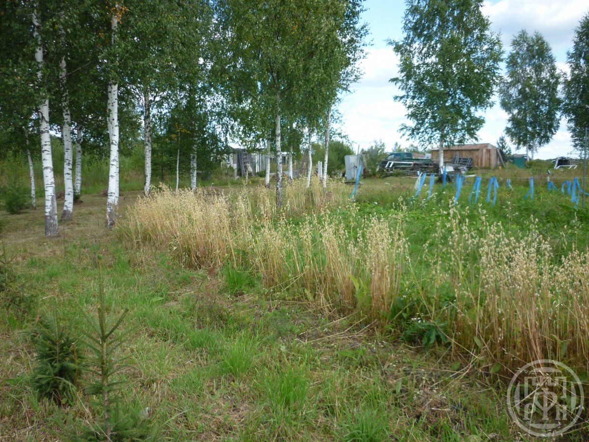 Продажа участка, Турышкино, Турышкино дер. Продажа участка, Турышкино, Турышкино дер.
