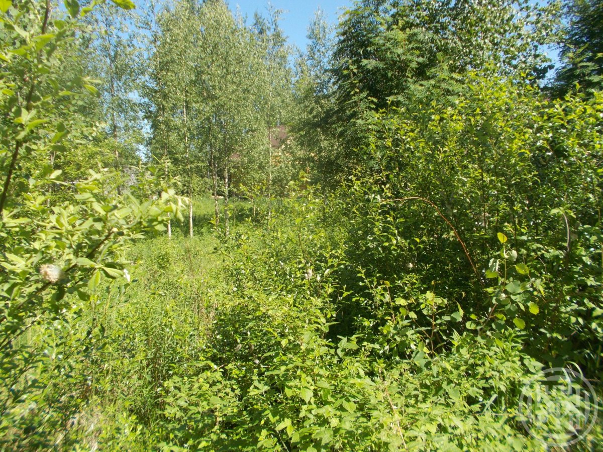 Продажа участка, Рахья, Рахья массив, д 444 Продажа участка, Рахья, Рахья массив, д 444