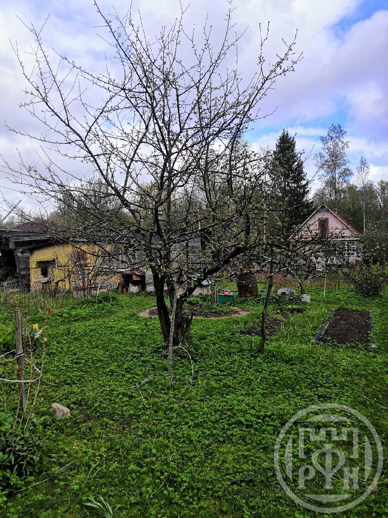Продажа дома, 54м <sup>2</sup>, 6 сот., Ленинградская, Борисова Грива массив Продажа дома, 54м <sup>2</sup>, 6 сот., Ленинградская, Борисова Грива массив