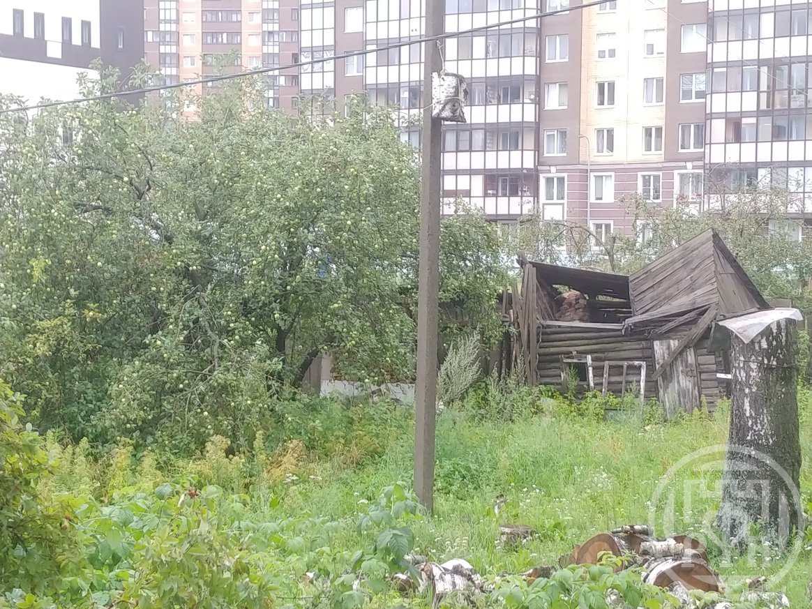 Продажа участка, Новое Девяткино, Главная ул. Продажа участка, Новое Девяткино, Главная ул.