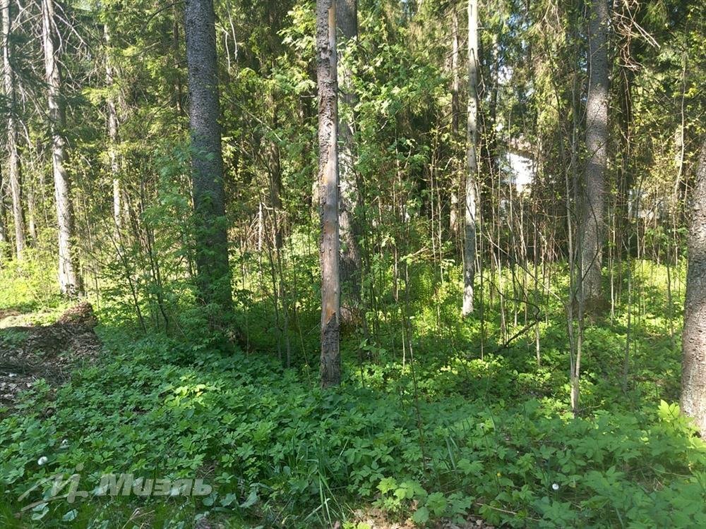 Продажа участка, Кротово, Кротово пос. Продажа участка, Кротово, Кротово пос.