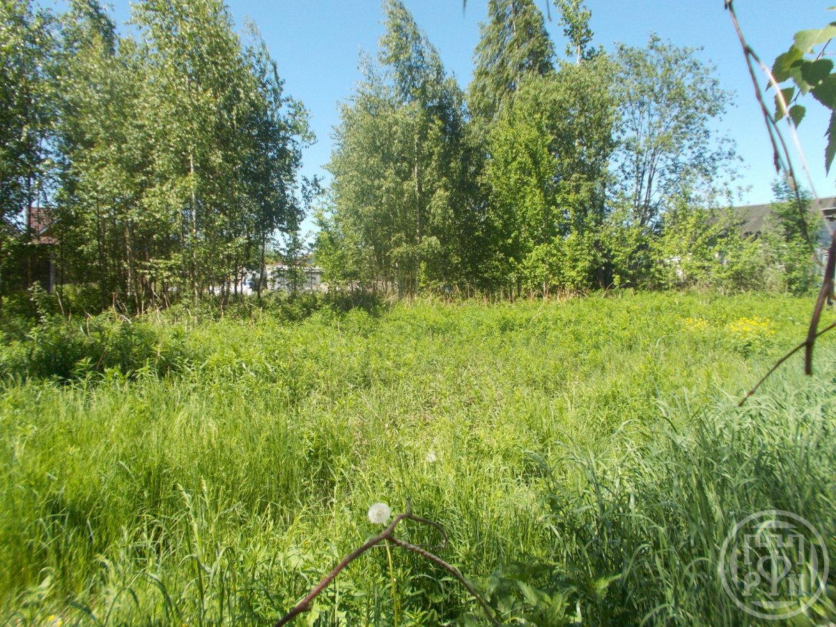 Продажа участка, Рахья, Рахья массив, д 444 Продажа участка, Рахья, Рахья массив, д 444