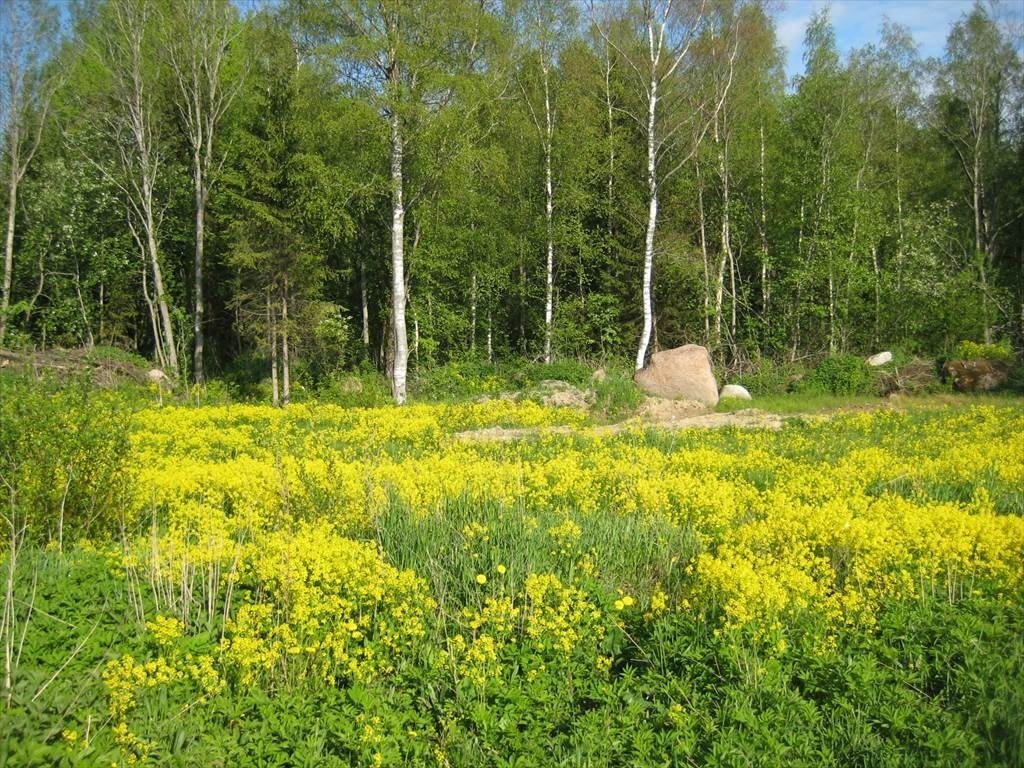 Продажа участка, Гостилицы, Гостилицы дер.