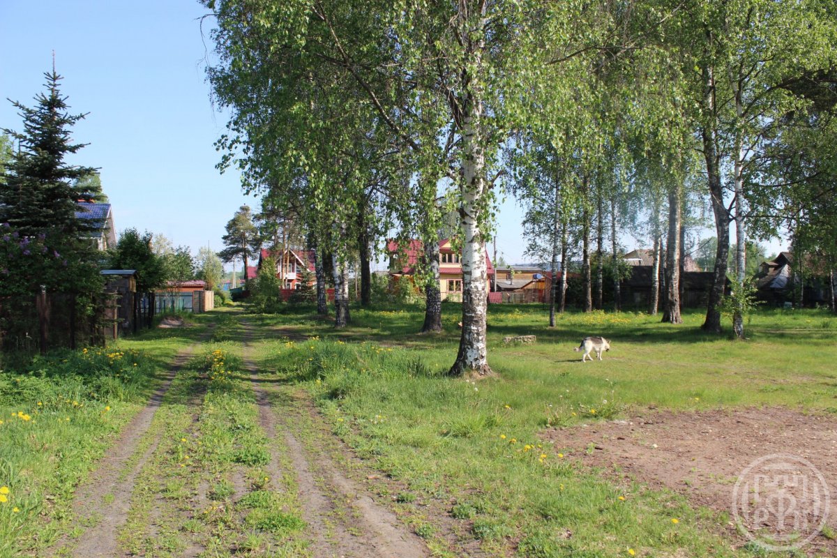 Продажа участка, Сиверский, Средняя ул., д 12 Продажа участка, Сиверский, Средняя ул., д 12