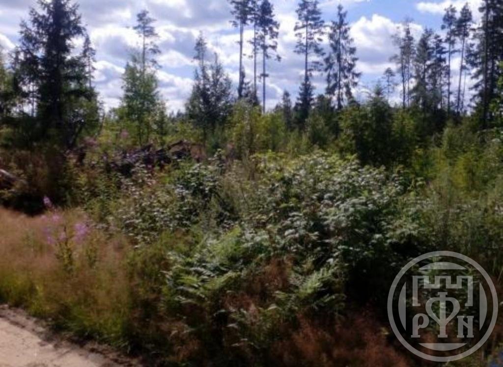 Продажа участка, Замостье, Замостье дер. Продажа участка, Замостье, Замостье дер.