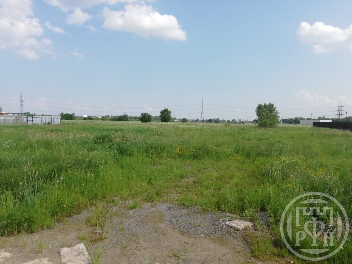 Продажа участка, Олики, Олики дер., д 13 Продажа участка, Олики, Олики дер., д 13