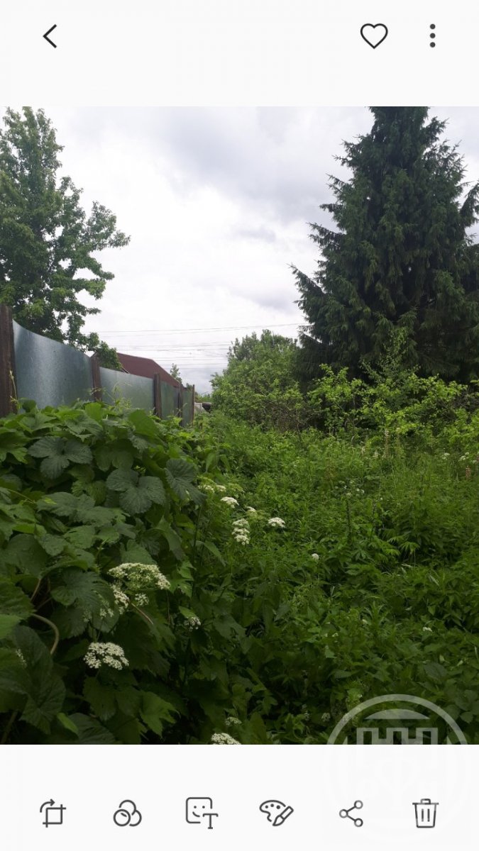 Продажа участка, Петергоф, Озерковая ул. Продажа участка, Петергоф, Озерковая ул.