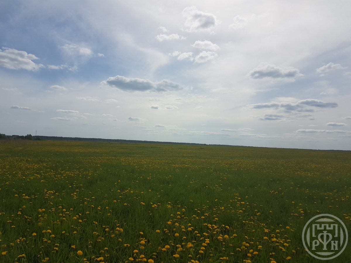 Продажа участка, Кипень, Кипень дер. Продажа участка, Кипень, Кипень дер.