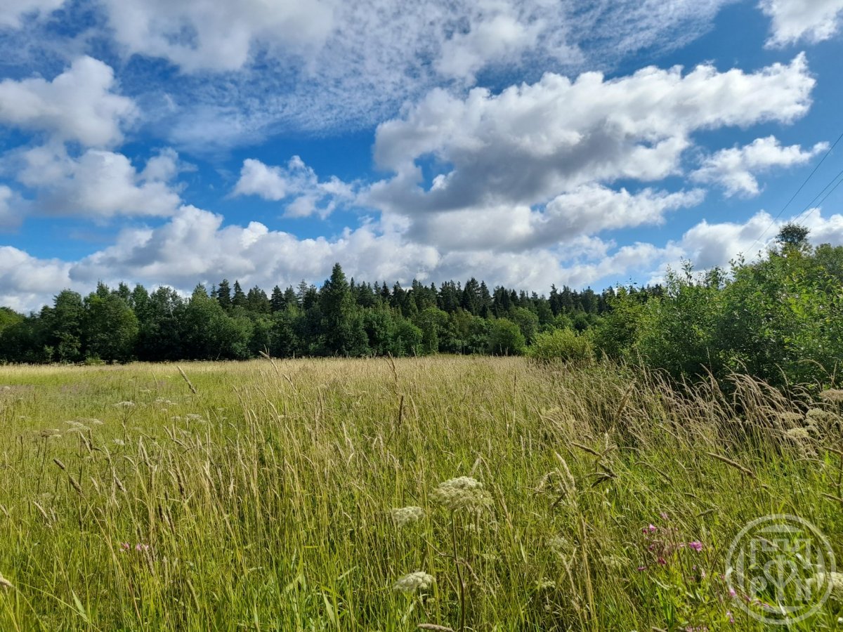 Продажа участка, Рыжково, Рыжково дер. Продажа участка, Рыжково, Рыжково дер.
