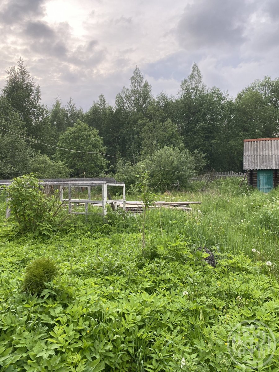 Продажа дома, 78м <sup>2</sup>, 18 сот., Мшинская, Мшинская пос., д 49 Продажа дома, 78м <sup>2</sup>, 18 сот., Мшинская, Мшинская пос., д 49