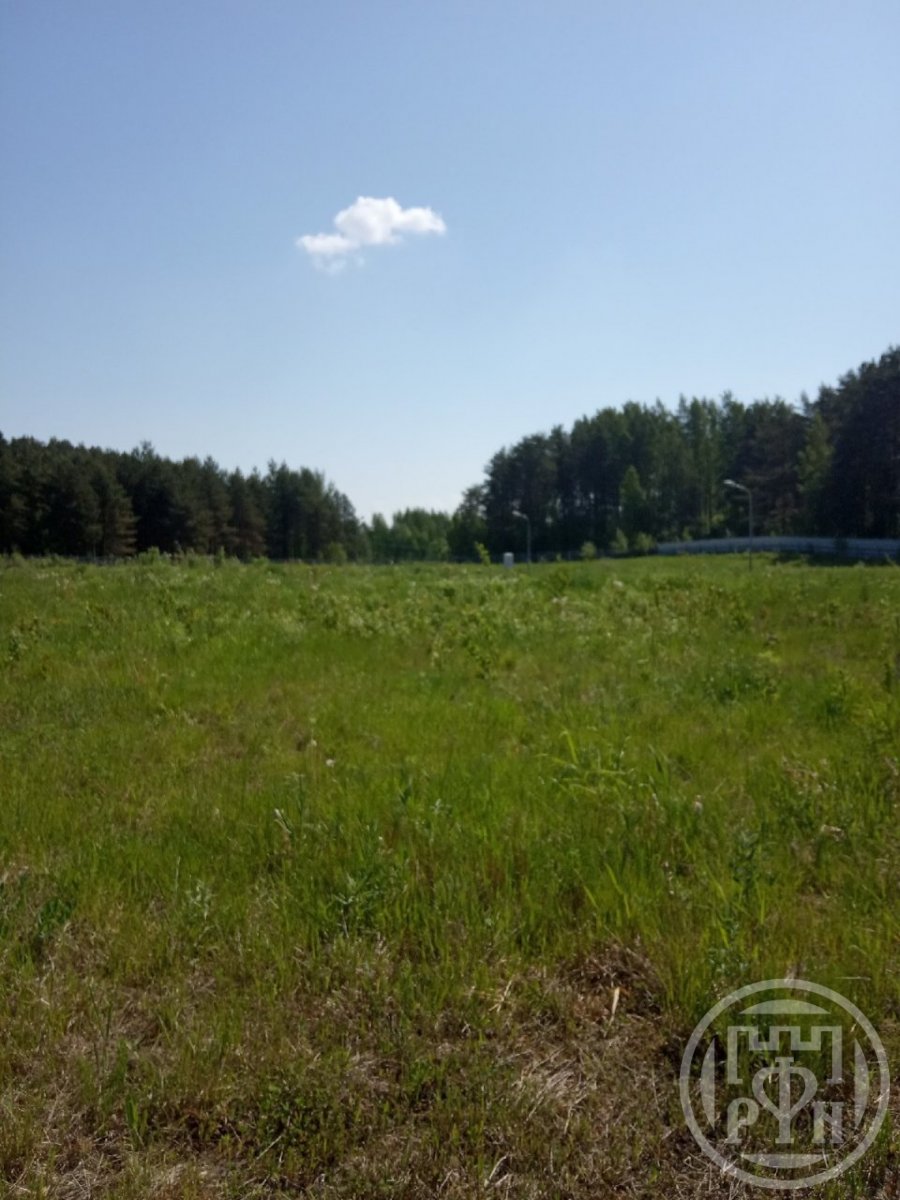Продажа участка, Канисты, Канисты дер. Продажа участка, Канисты, Канисты дер.