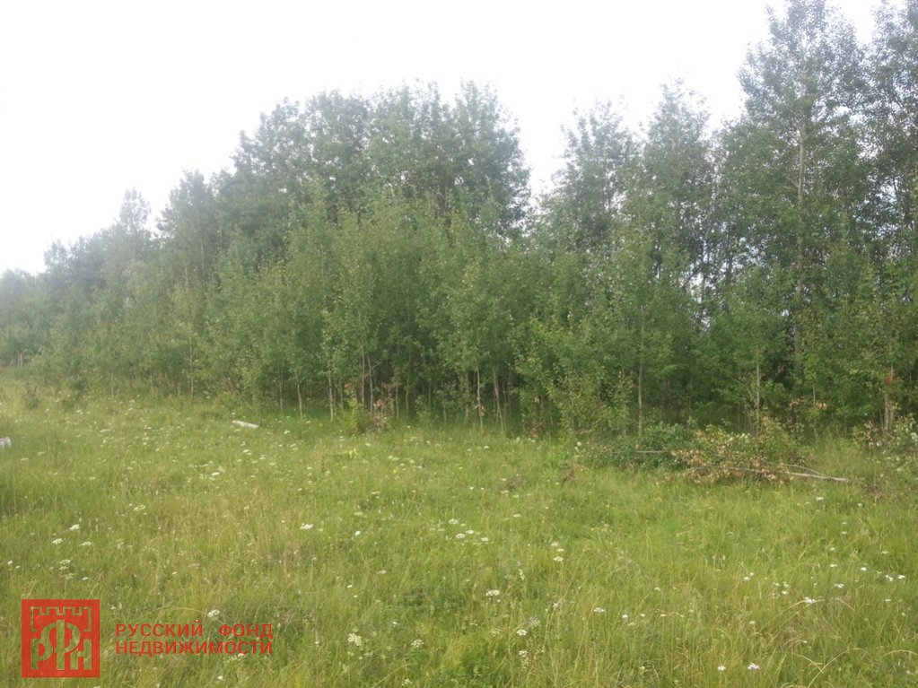 Продажа дома, 40 сот., Полосы, Полосы дер. Продажа дома, 40 сот., Полосы, Полосы дер.