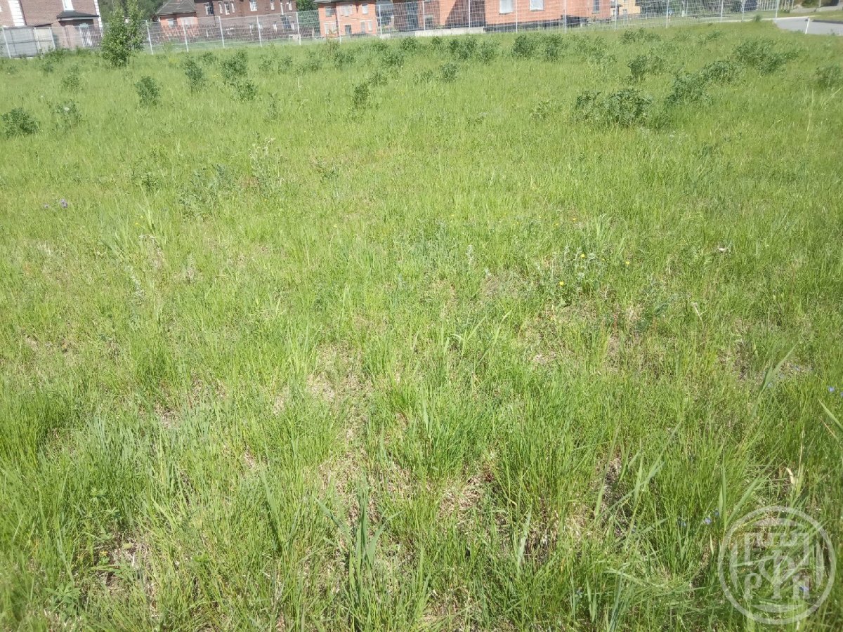 Продажа участка, Канисты, Канисты дер. Продажа участка, Канисты, Канисты дер.