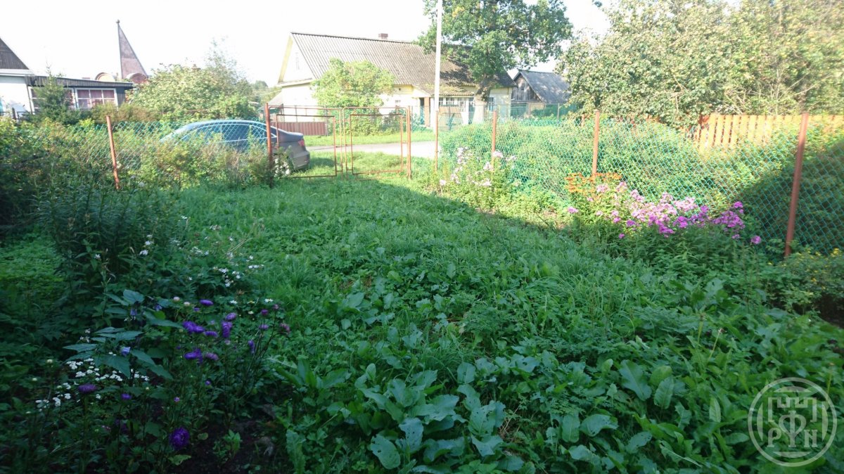 Продажа участка, Рутелицы, Рутелицы дер., д 12 Продажа участка, Рутелицы, Рутелицы дер., д 12