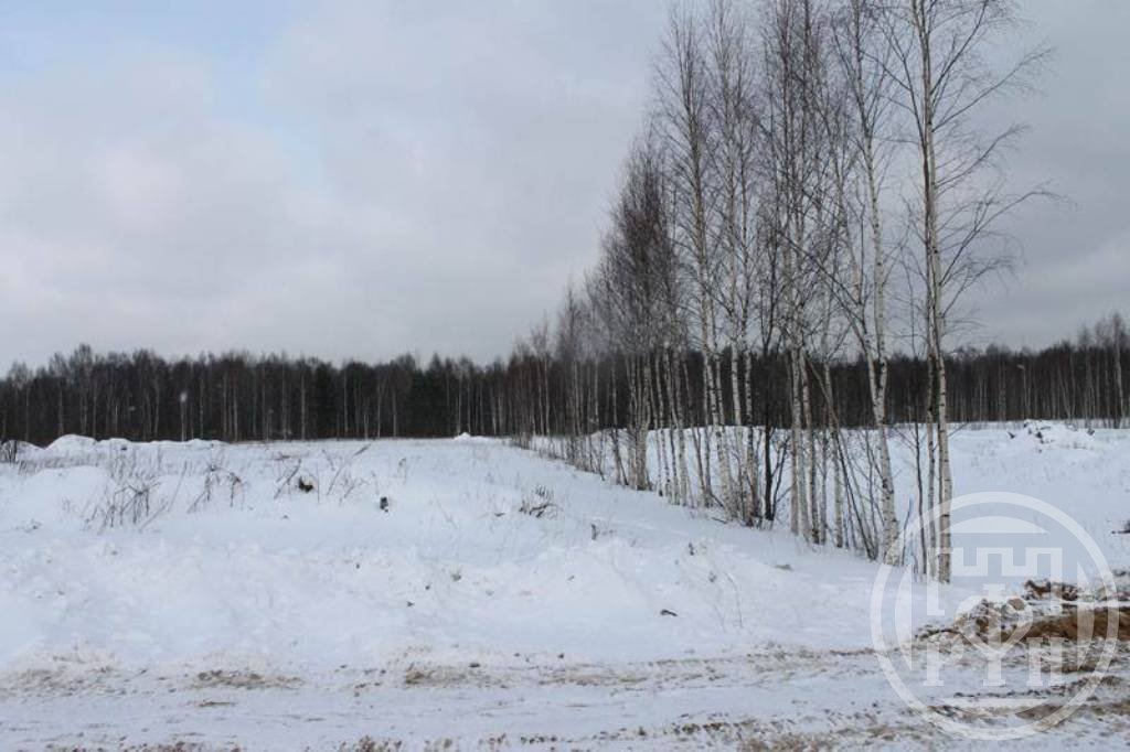 Продажа участка, Ириновка, Ириновка пос. Продажа участка, Ириновка, Ириновка пос.