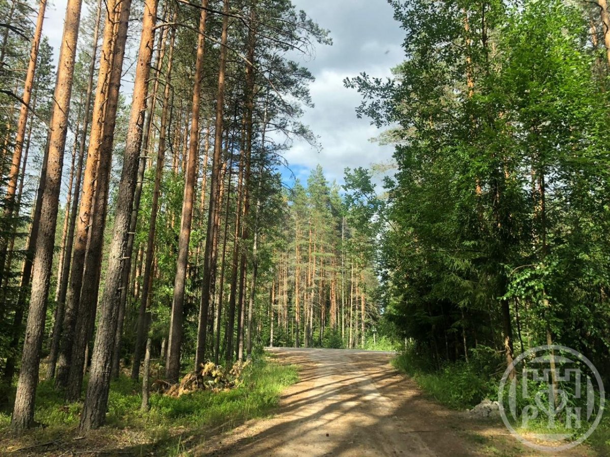 Продажа участка, Рощино, Песочная ул. Продажа участка, Рощино, Песочная ул.