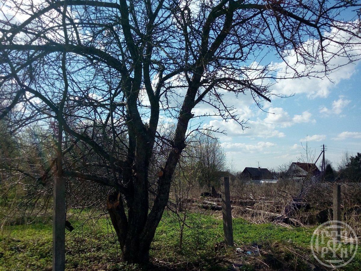 Продажа участка, Назия, Восточная ул., д 3 Продажа участка, Назия, Восточная ул., д 3