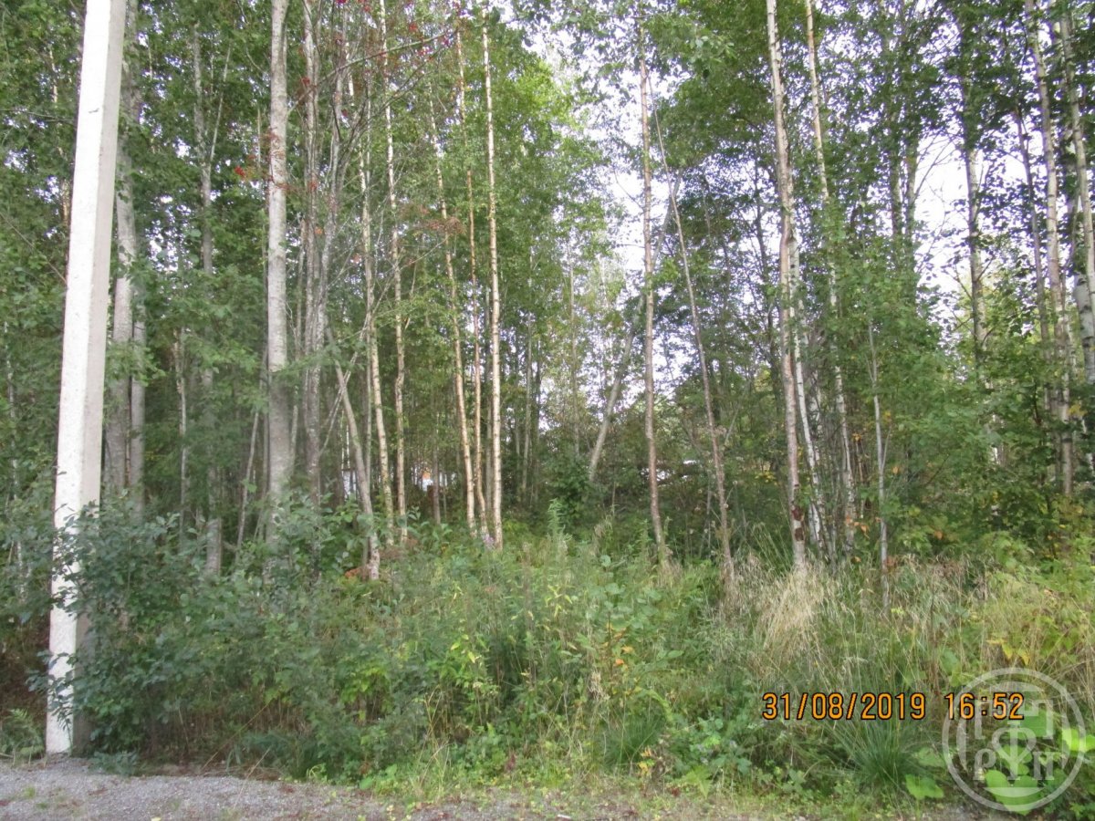 Продажа участка, Моторное, Моторное пос. Продажа участка, Моторное, Моторное пос.