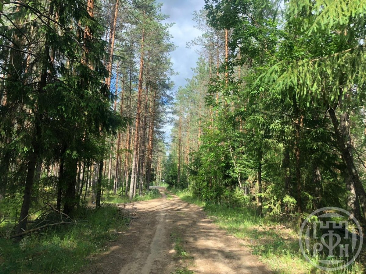 Продажа участка, Рощино, Песочная ул. Продажа участка, Рощино, Песочная ул.