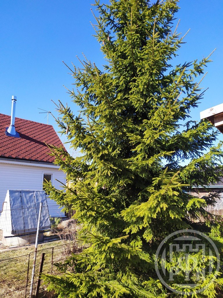 Продажа дома, 37м <sup>2</sup>, 6 сот., Ленинградская, Центральная ул. Продажа дома, 37м <sup>2</sup>, 6 сот., Ленинградская, Центральная ул.